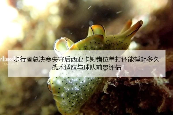 bu-xing-zhe-zong-jue-sai-shi-shou-hou-xi-ya-ka-mu-cuo-wei-dan-da-hai-neng-cheng-qi-duo-jiu-zhan-shu-shi-ying-yu-qiu-dui-2-860.jpg